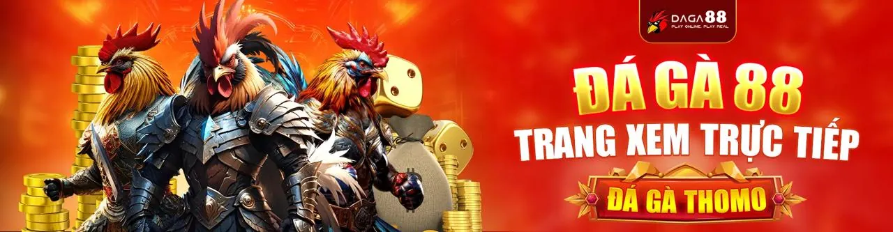 Đá Gà Trực Tuyến tin888 login